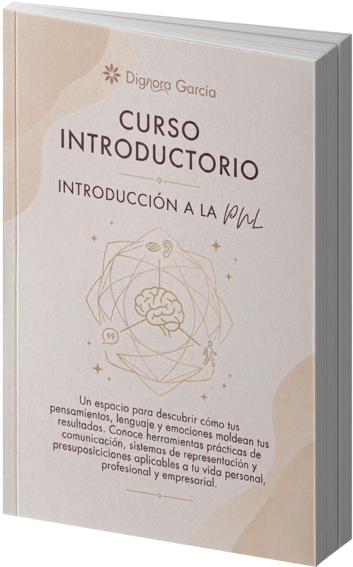 Curso introductorio