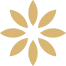 Icono
