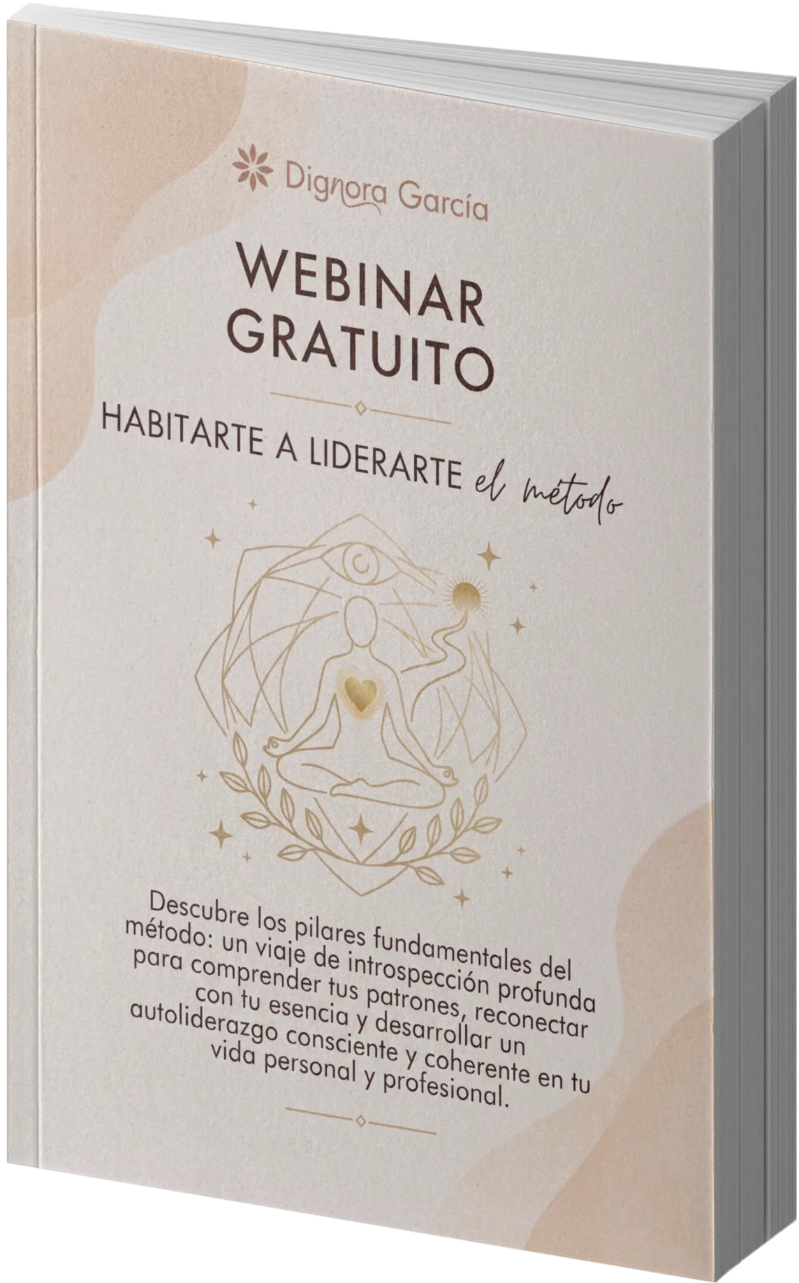 Webinar gratuito